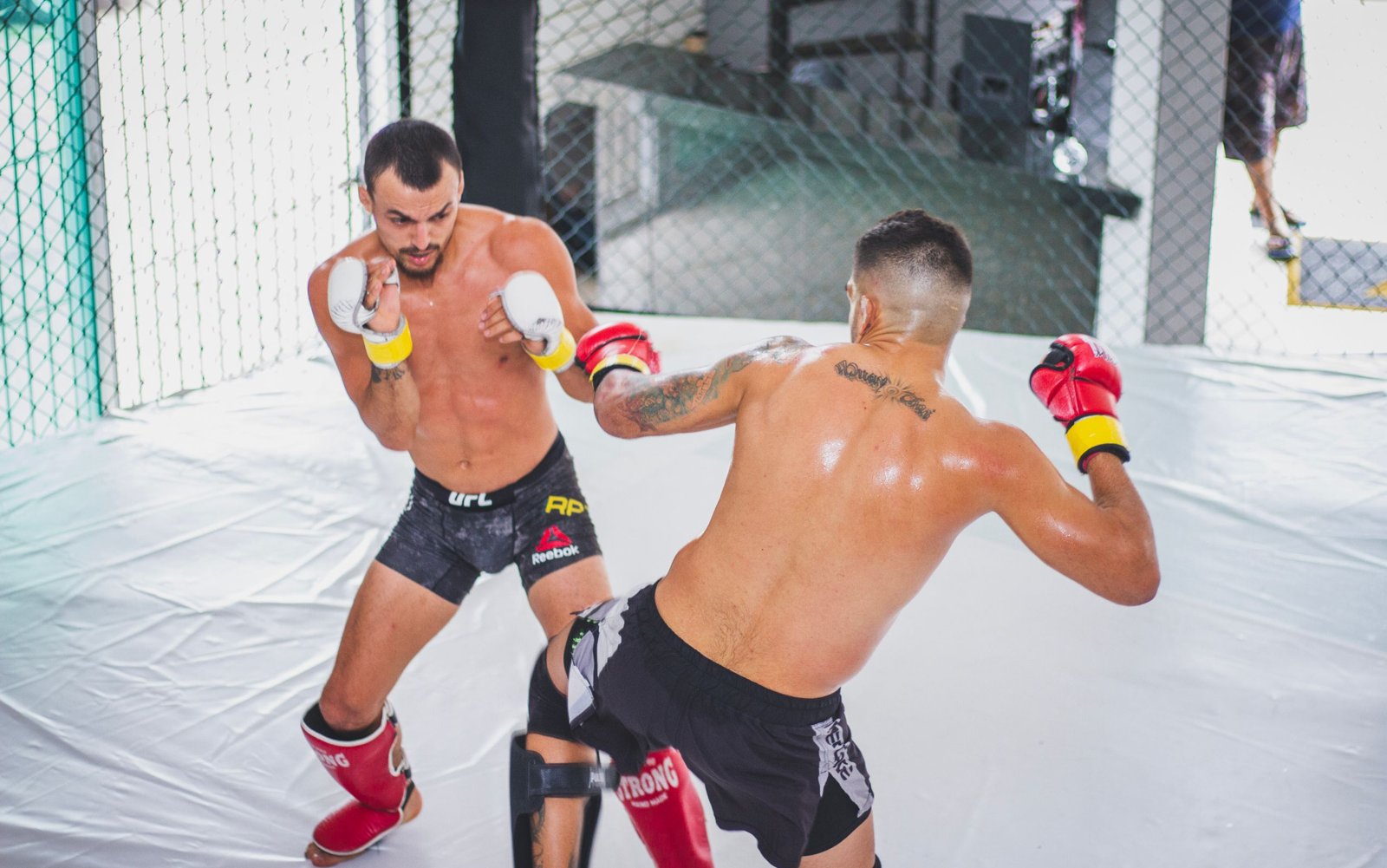 UFC Paris : date, lieu et horaires de la soirée